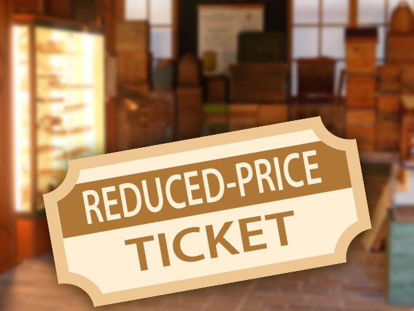 Ingresso Ridotto (bambini/ragazzi da 4 a 14 anni)