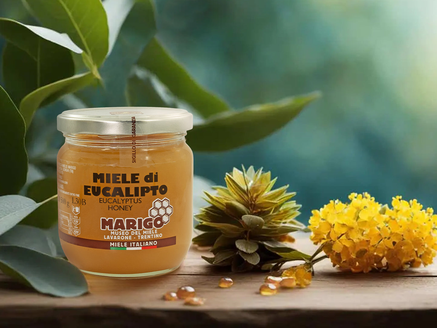 Miele di Eucalipto