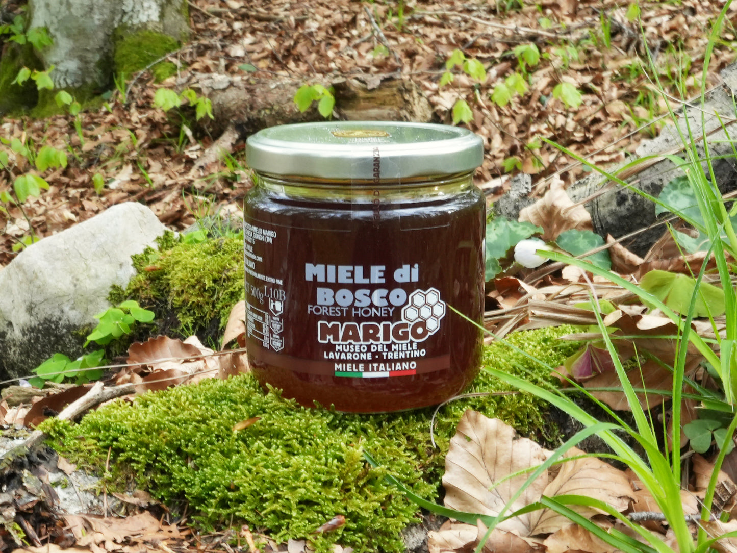 Miele di Bosco