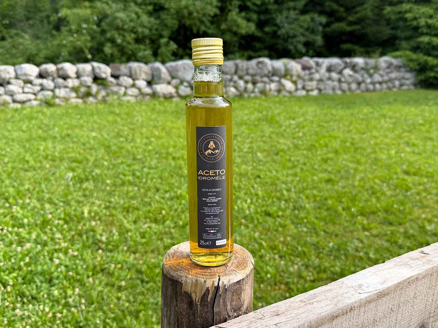Aceto di Idromele