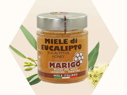 Miele di Eucalipto