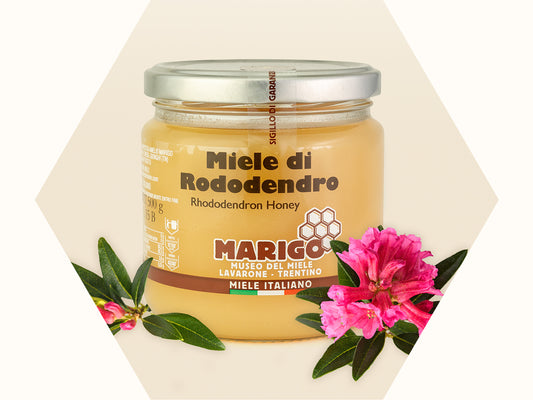 Miele di Rododendro