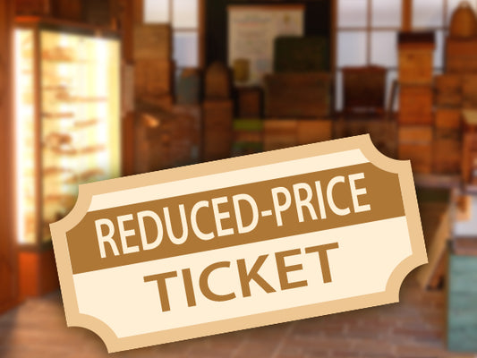 Ingresso Ridotto (bambini/ragazzi da 4 a 14 anni)